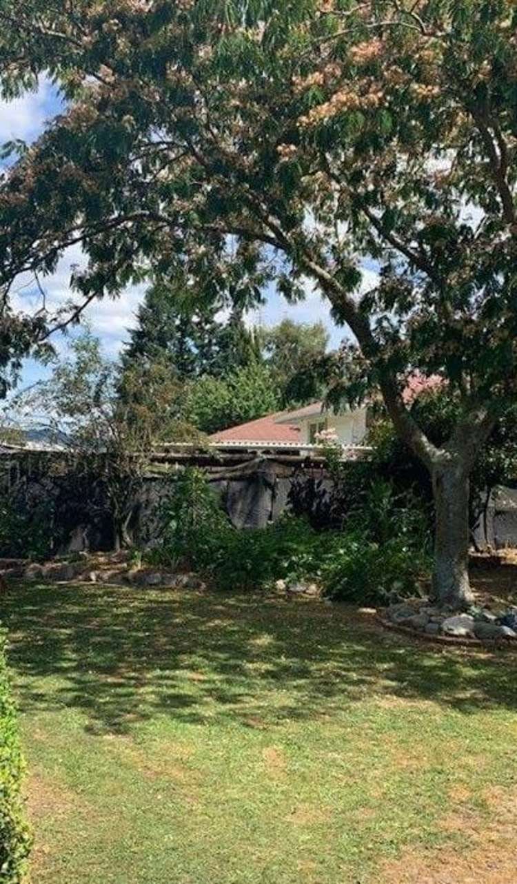 9 Tawa Place Tapawera_12