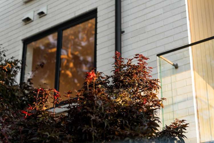 2/30 Grange Road Mt Eden_11