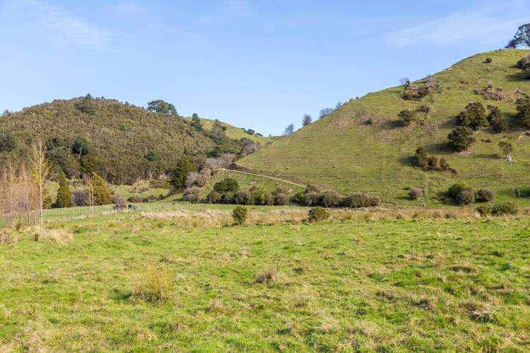 809 Norfolk Road Carterton_8
