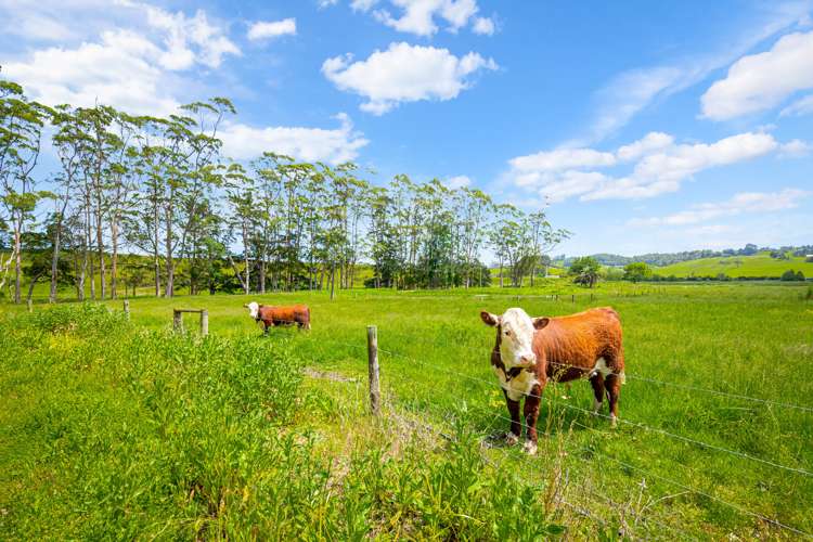 515 Kahikatea Flat Road Waitoki_21