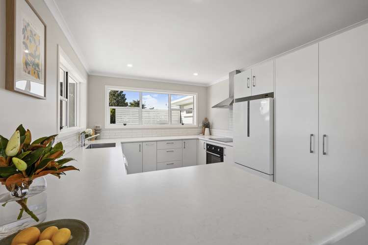 230a Omata Road Spotswood_5