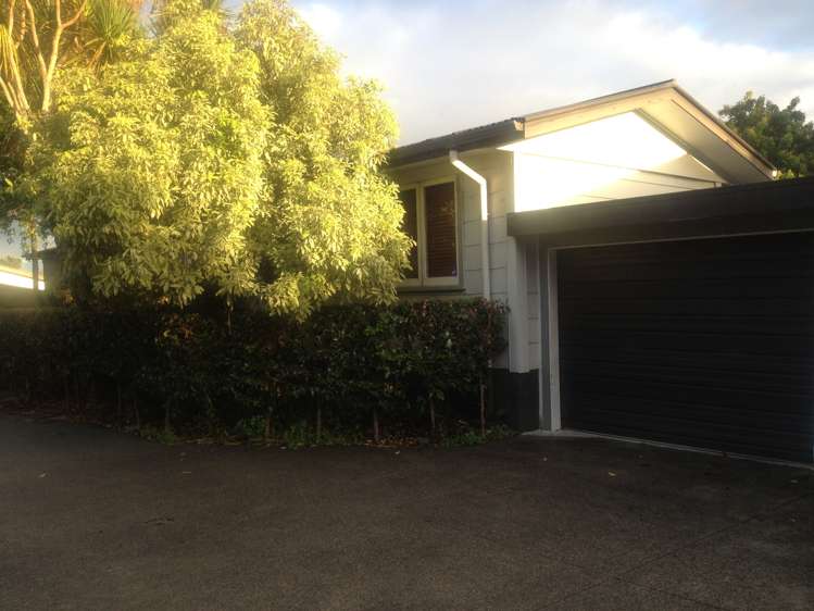 11c Highbury Street Avondale_7