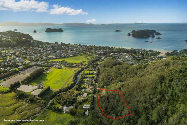 Native bush, sea views, and endless potential
