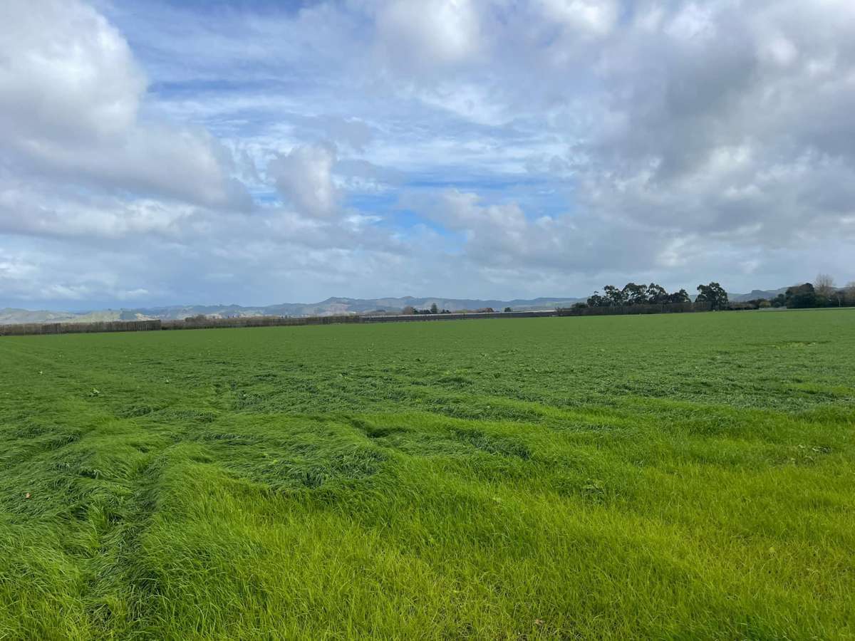 363 Matawai Road_2