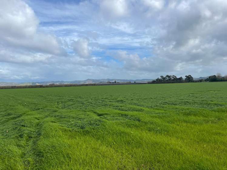 363 Matawai Road Waerenga A Hika_5