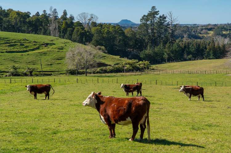 353 Lockington Road Aongatete_21