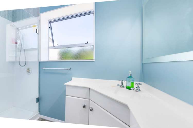 21 Old Bridge Road Alexandra_10