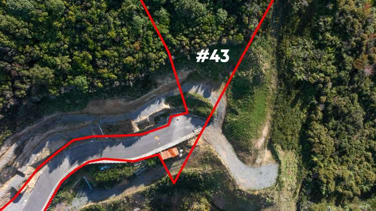 29-43 Alanbrooke Place Karori_14