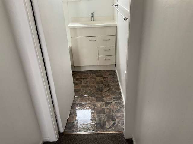 19A Rimu Road Manurewa_3