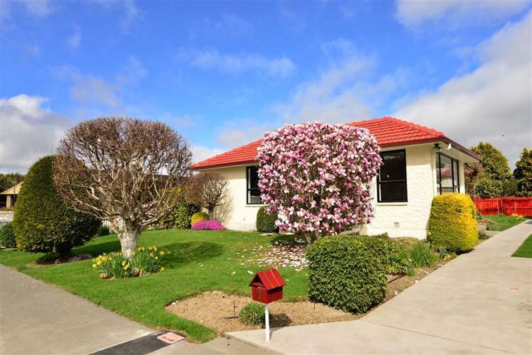 20 Cardinal Drive Hillmorton_3