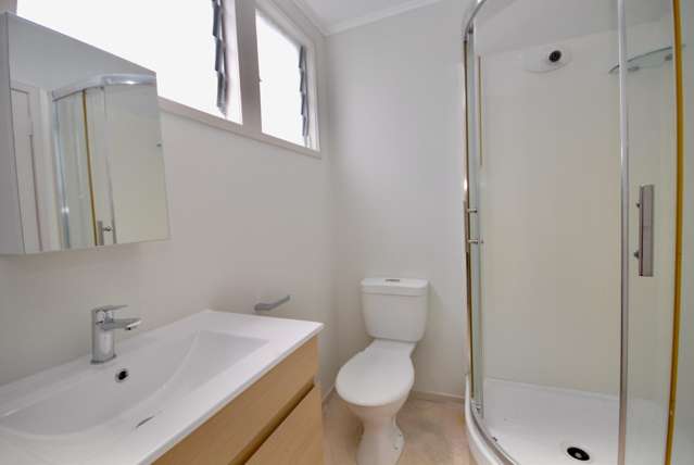 212c Carrington Rd Mount Albert_2