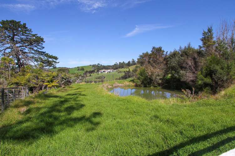 449 Blackbridge Road Dairy Flat_9