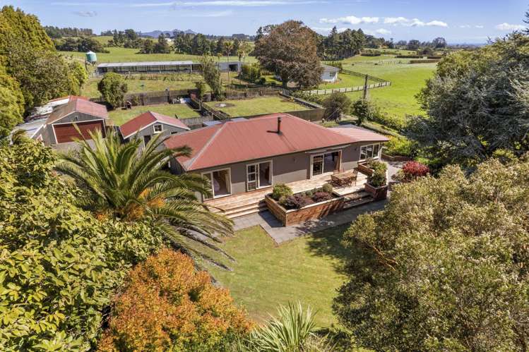 88 Hill Road Korito_16