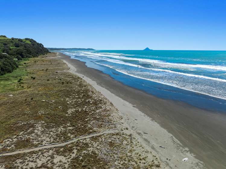 233 Ohiwa Beach Road Opotiki and Surrounds_5