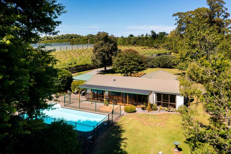 881b Te Matai Road Te Ranga_10