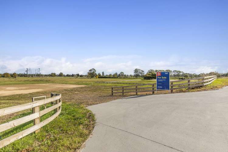 71 Fencourt Road Cambridge_3