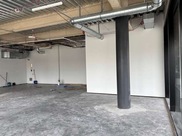 Part Ground Floor, 179 Collingwood Street Hamilton Lake_3