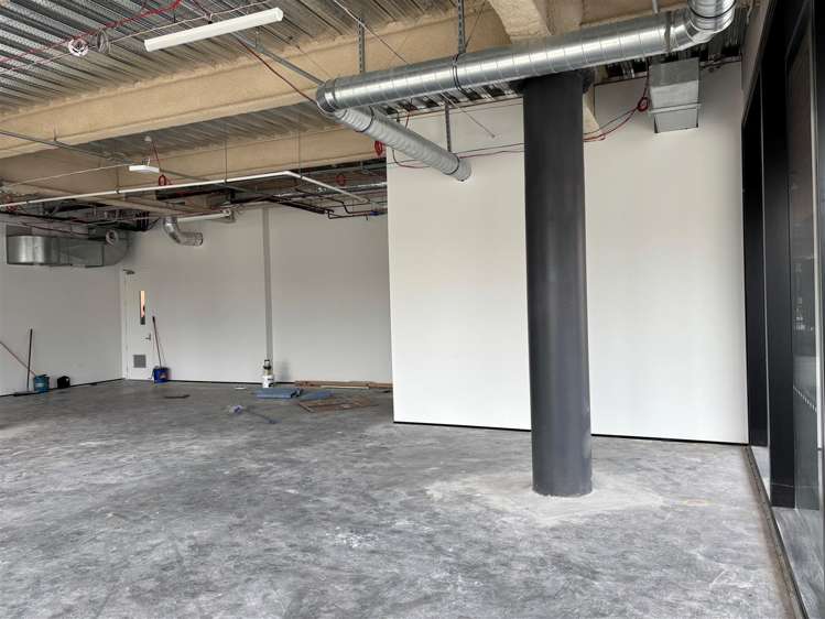 Part Ground Floor, 179 Collingwood Street Hamilton Lake_3