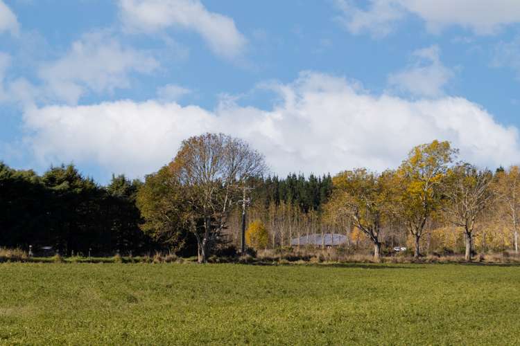 197 Maindonalds Road West Eyreton_6