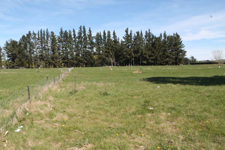 47 Munro Road Cheviot_14