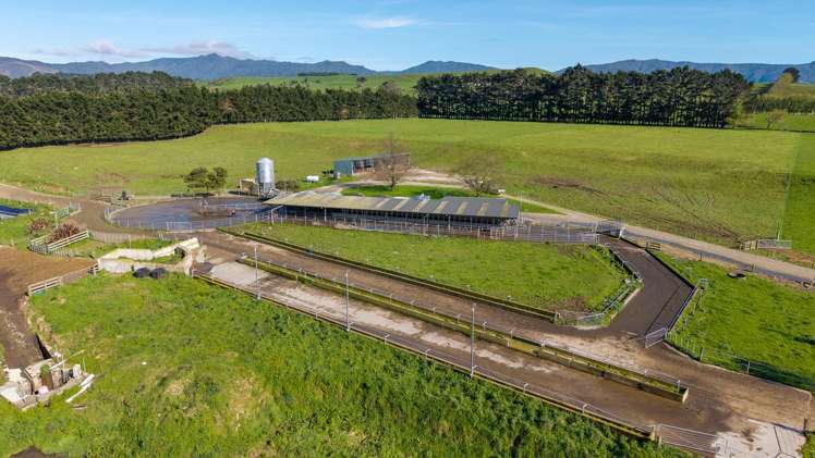 886 Kakariki Road Eketahuna_1