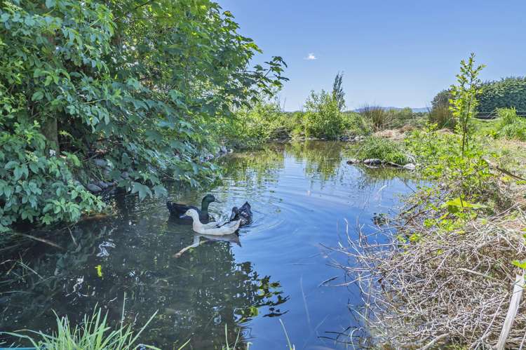 1349 The Lake Road Leeston_21