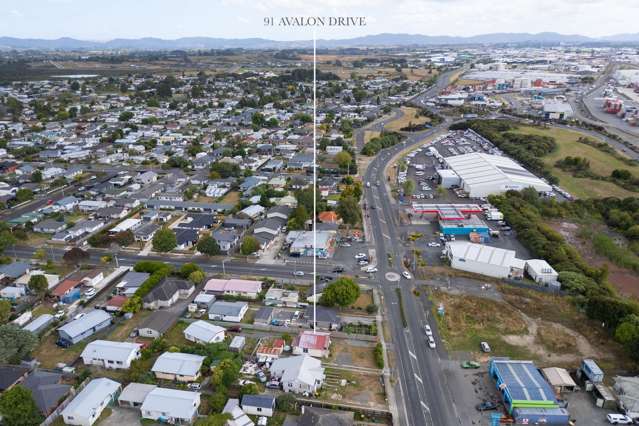 91 Avalon Drive Nawton_4