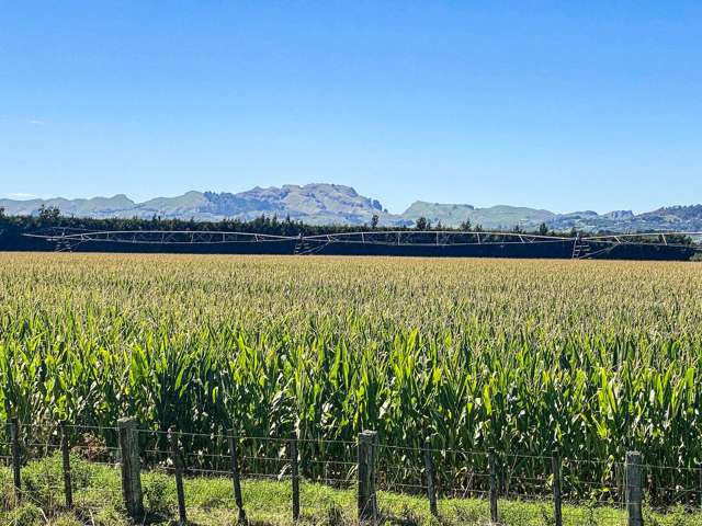 1355 Railway Road South and 656 Te Aute Road Longlands_3