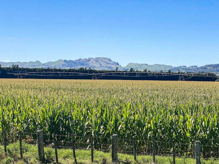 1355 Railway Road South and 656 Te Aute Road Longlands_3