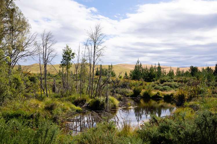 Waiwhero Road Ngatimoti_4