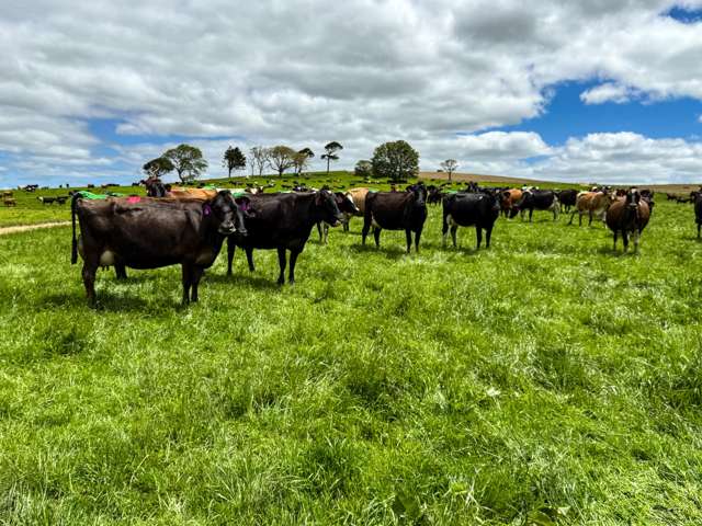 1532 Wyndham Letterbox Road Mataura Island_2