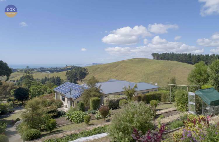 138a Seafield Road Eskdale_29