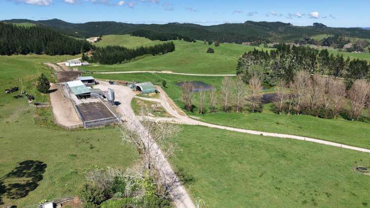 337 Mill Road Kawakawa_10