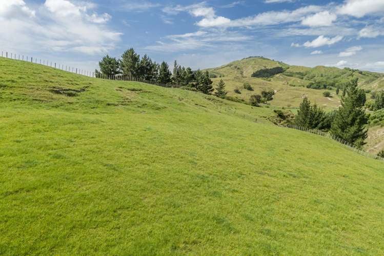 Lot 3,/253 Kairakau Road Elsthorpe_3