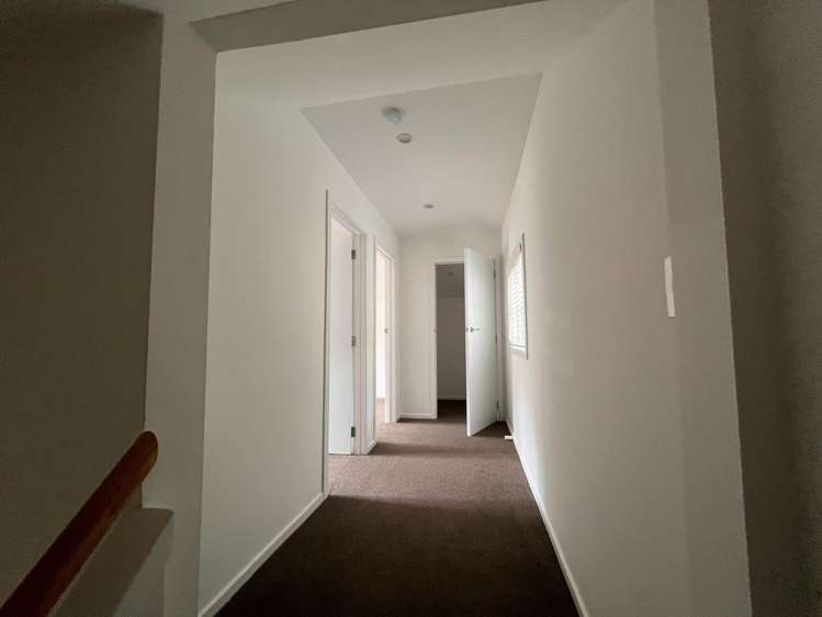 Whatipu Road Huia_25