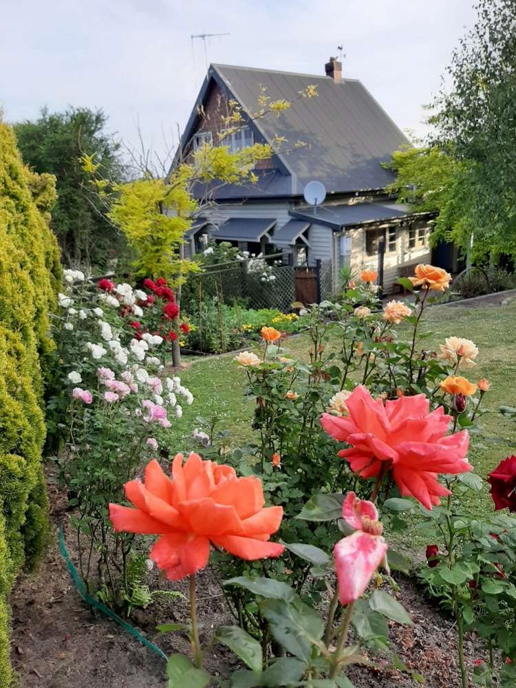 128 Evans Street Waimataitai_20