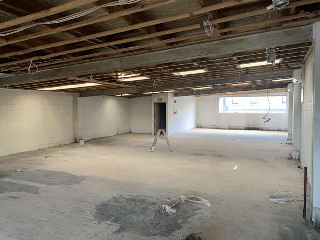 2 Abbey Street Auckland Cbd_4