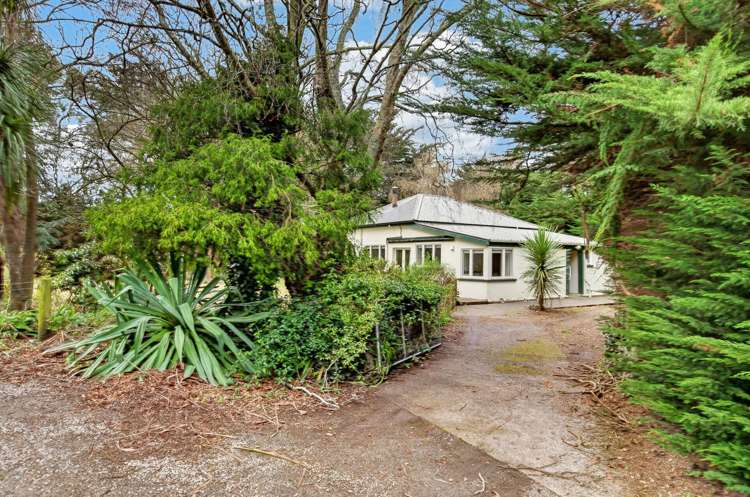 325 Curraghs Road Rolleston_20