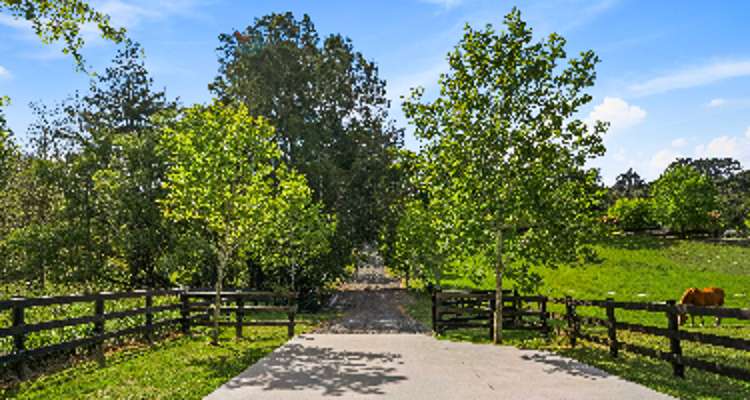 161 Waikoukou Valley Road_0