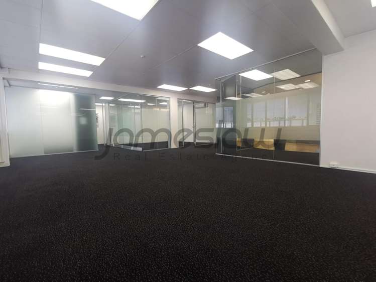 1B/153 Parnell Road Parnell_3