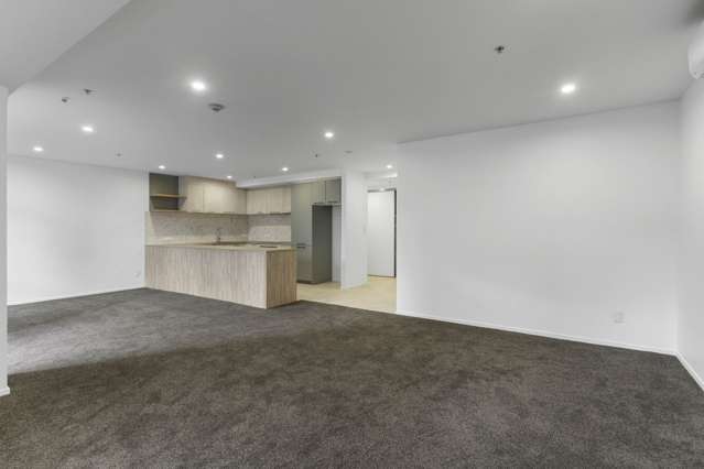 3g/205 Hobson Street Auckland Central_2