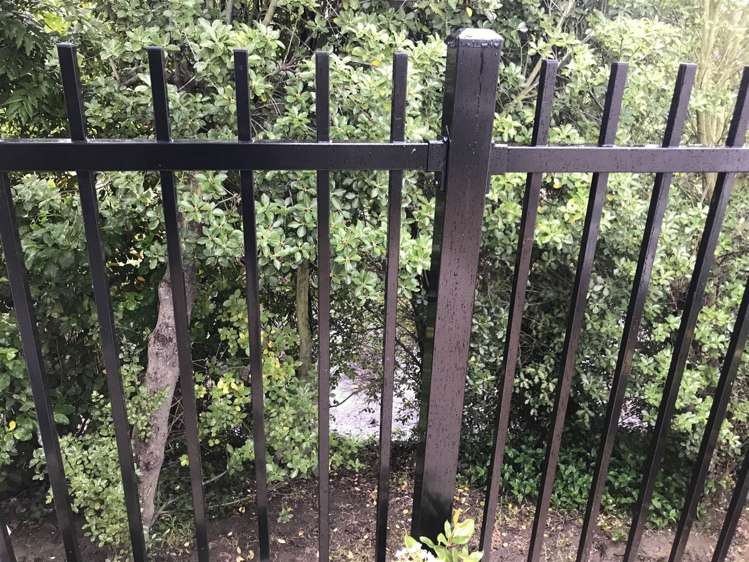 2/1 Cameron Street Sydenham_8