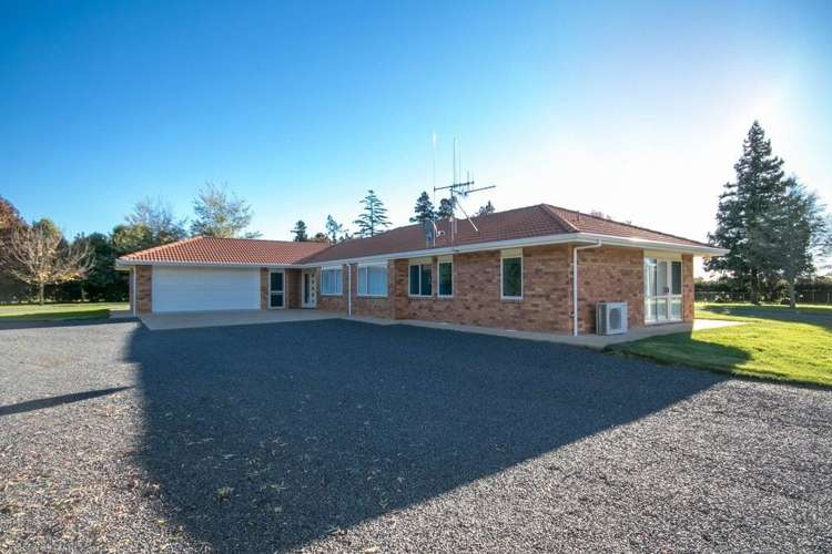 297 Bellevue Road Matangi_24