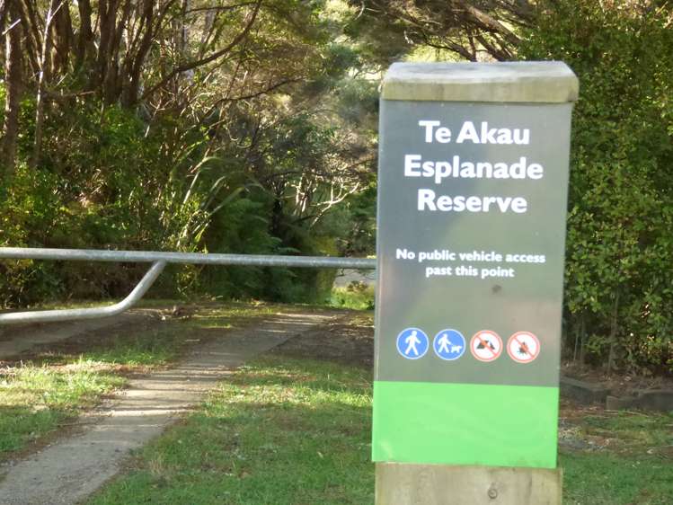 6 Ryan Road Te Akau_20