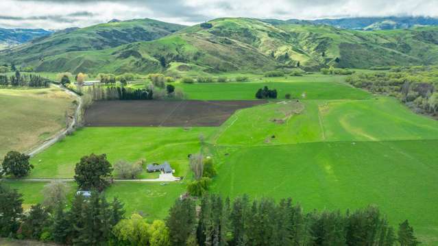 Large Scale Sheep & Beef, plus Forestry