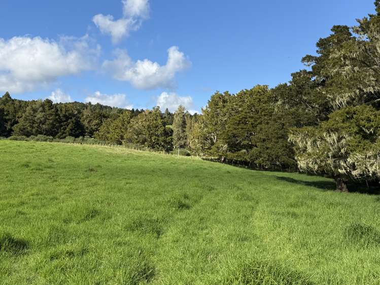 54 James Mckenzie Way Okaihau_21