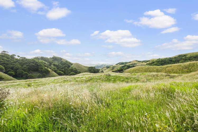 2368 Wairamarama Onewhero Road Glen Murray_21