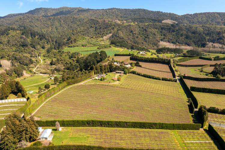 388 Manoeka Road Te Puke_11