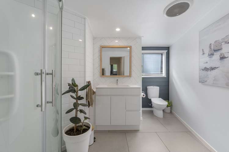 187 Link Road Wairakei and Surrounds_10