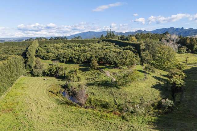 222 Wharawhara Road Katikati_4